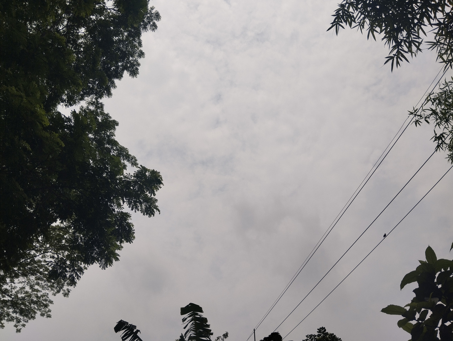 আমার আকাশ