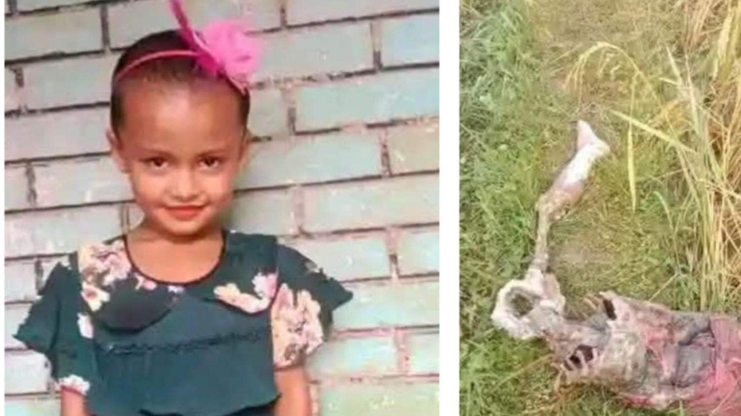শিয়ালে খেয়ে ফেলেছে মাত্র ৬ বছরের নিষ্পা'প শি'শু জান্নাত আক্তারকে