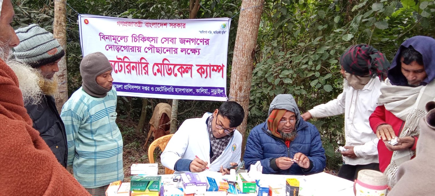 কালিয়ায় বিনামূল্যে ভেটেরিনারি মেডিকেল ক্যাম্প অনুষ্ঠিত