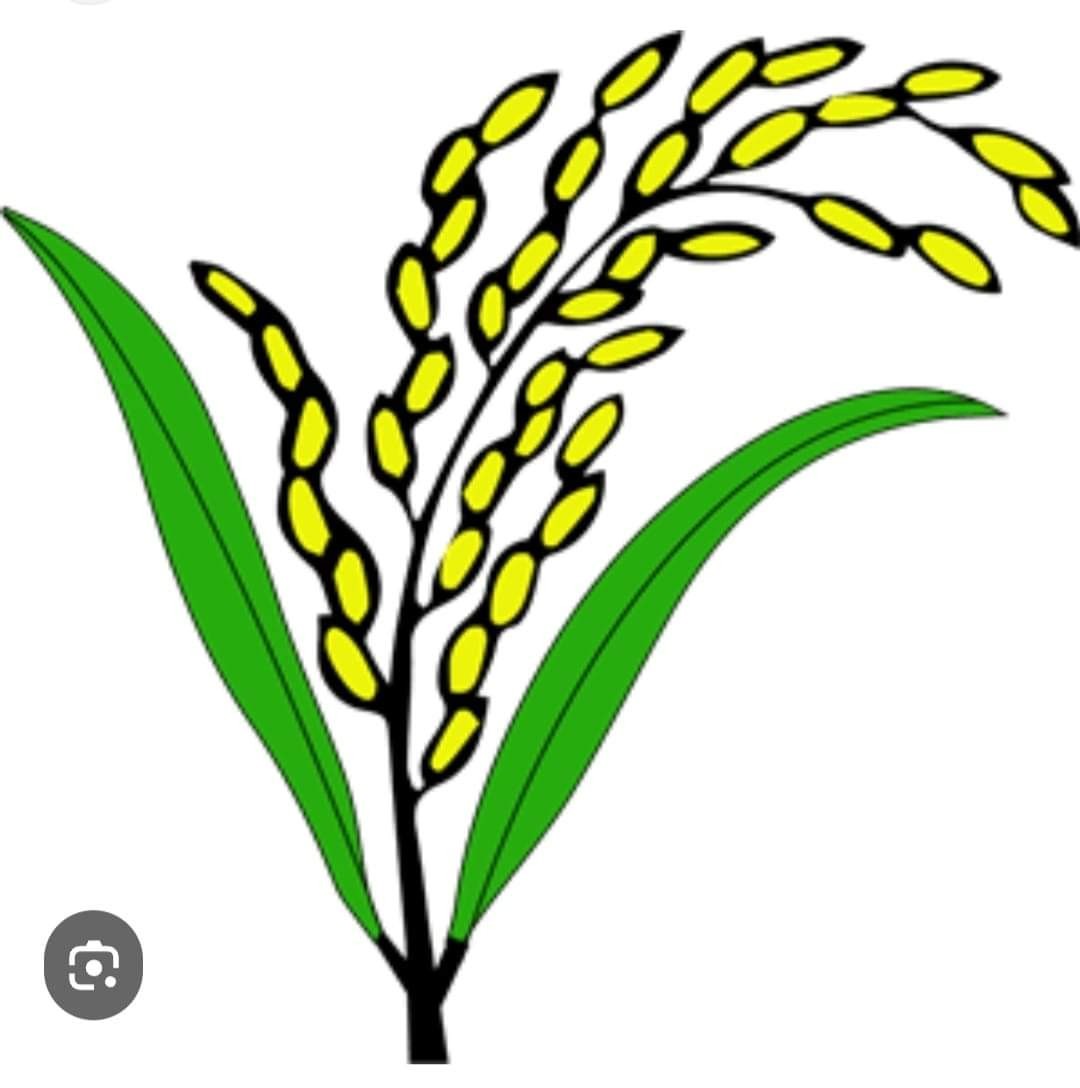 হেমন্ত