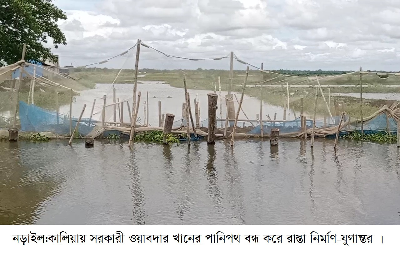 কালিয়ায় সরকারি খালের পানির গতিপথ বন্ধ করে রাস্তা নির্মাণ