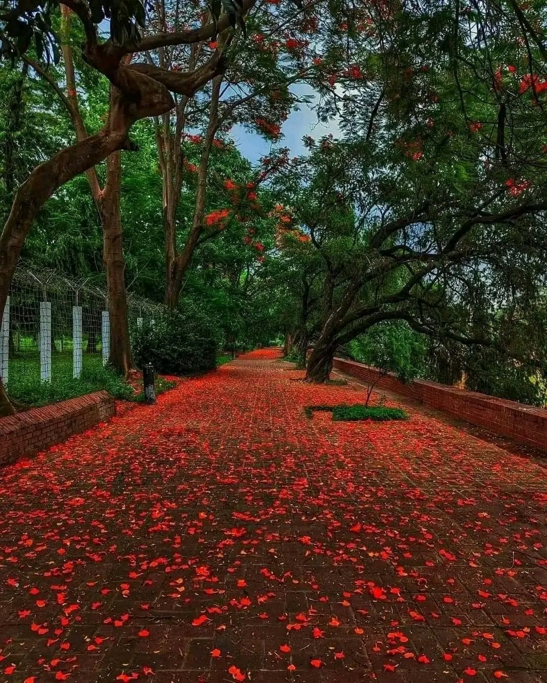 গল্প :- নষ্ট স্বামী