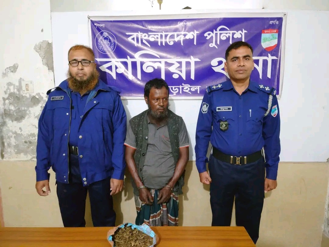 কালিয়ায় ২০০ গ্রাম গাঁজাসহ আটক ১