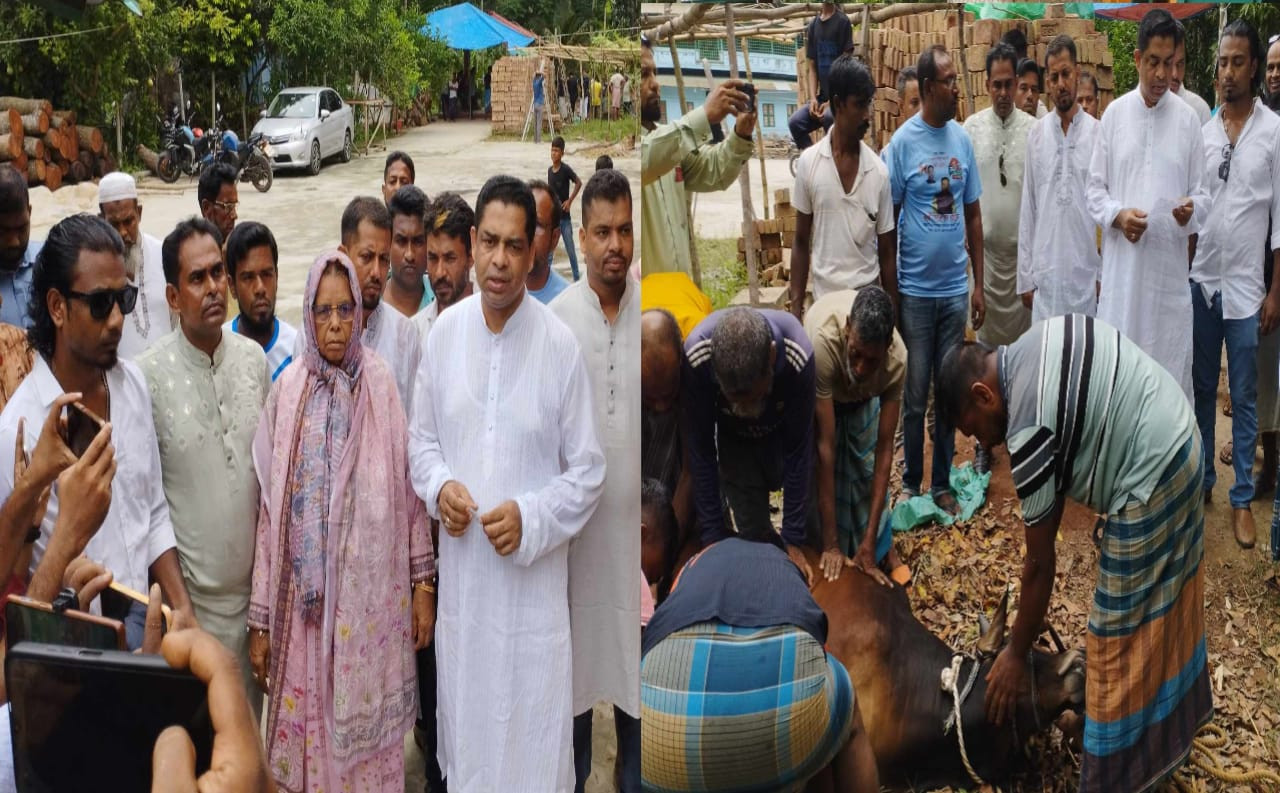 কালিয়ায় ১৬বছর ধরে বঙ্গবন্ধু ও প্রধানমন্ত্রীর নামে গরু কোরবানি