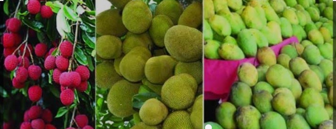 কবিতা মধুময় মাসে