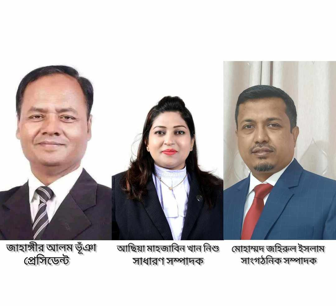 সাউথ এশিয়ান ল'ইয়ার্স ফোরাম (সাল্ফ)  কুমিল্লা বার চ্যাপ্টারের কমিটি অনুমোদন