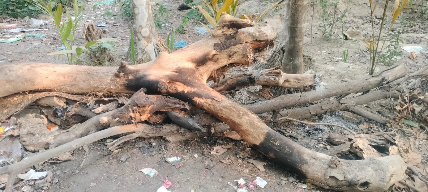 নড়াইলের কালিয়ায় বোমা বিস্ফোরণে চতুর্থ শ্রেণির এক শিক্ষার্থী আহত