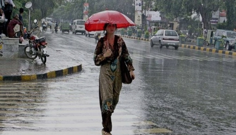 কুয়াশার বৃষ্টি