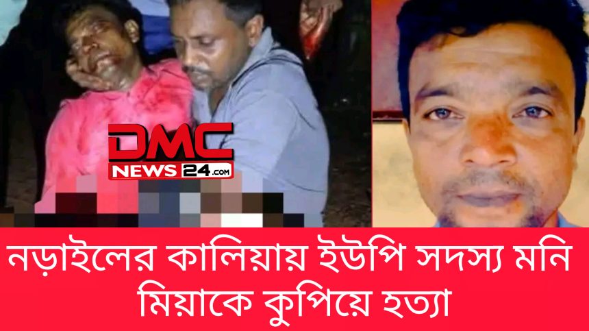 নড়াগাতীতে পূর্ব শত্রুতার জেরে ইউপি সদস্য খুন 