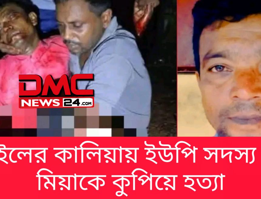 InShot_20260724_121536174 নড়াগাতীতে পূর্ব শত্রুতার জেরে ইউপি সদস্য খুন