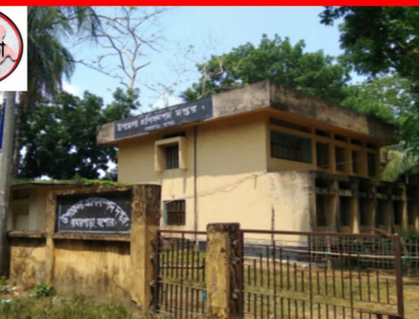 বাঘারপাড়ায় ৩ বছর ধরে শূন্য কৃত্রিম প্রজনন পদ, সরকারি সেবা থেকে বঞ্চিত খামারিরা