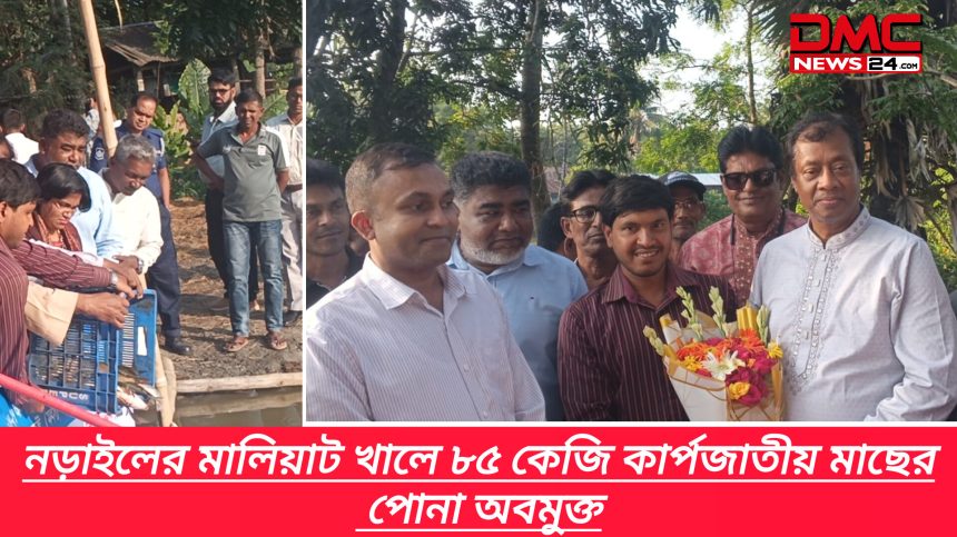 InShot_20261020_103021039 নড়াইলের মালিয়াট খালে ৮৫ কেজি কার্পজাতীয় মাছের পোনা অবমুক্ত