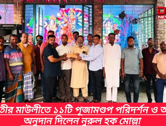 নড়াগাতীর মাউলীতে ১১টি পূজামণ্ডপ পরিদর্শন ও আর্থিক অনুদান দিলেন নুরুল হক মোল্লা